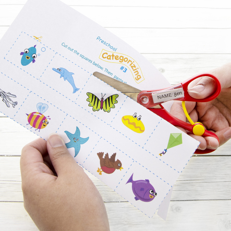 BAZIC 5" Blunt Tip School Scissors With Name Tag