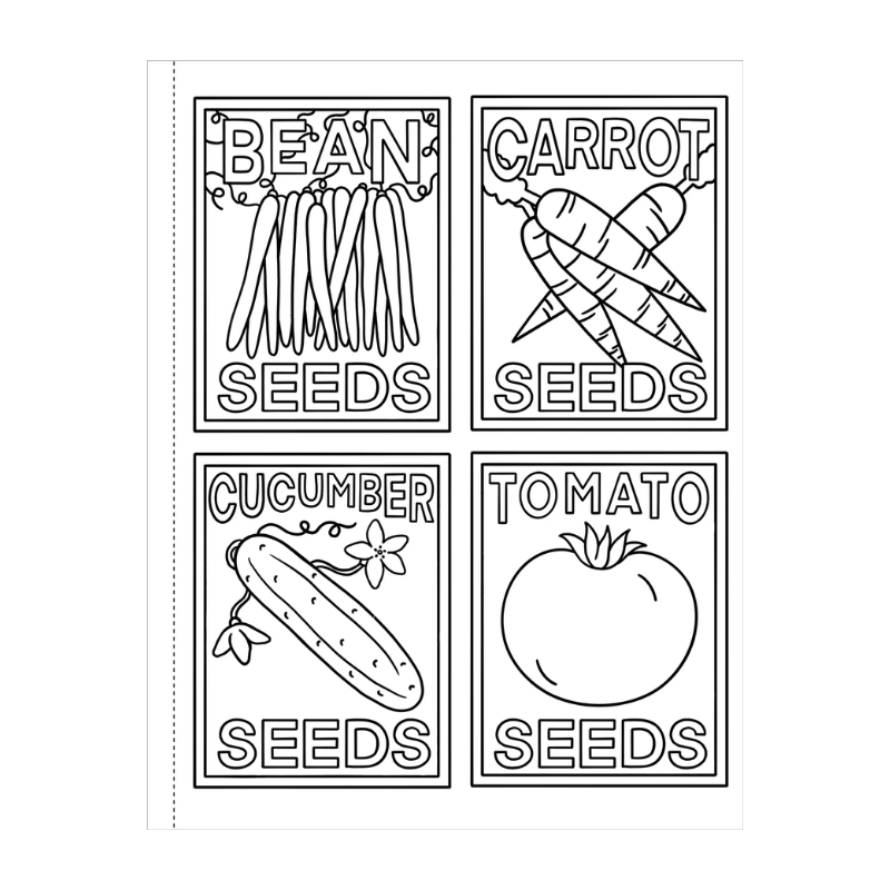 Peter Pauper My First Colouring Book - On the Farm