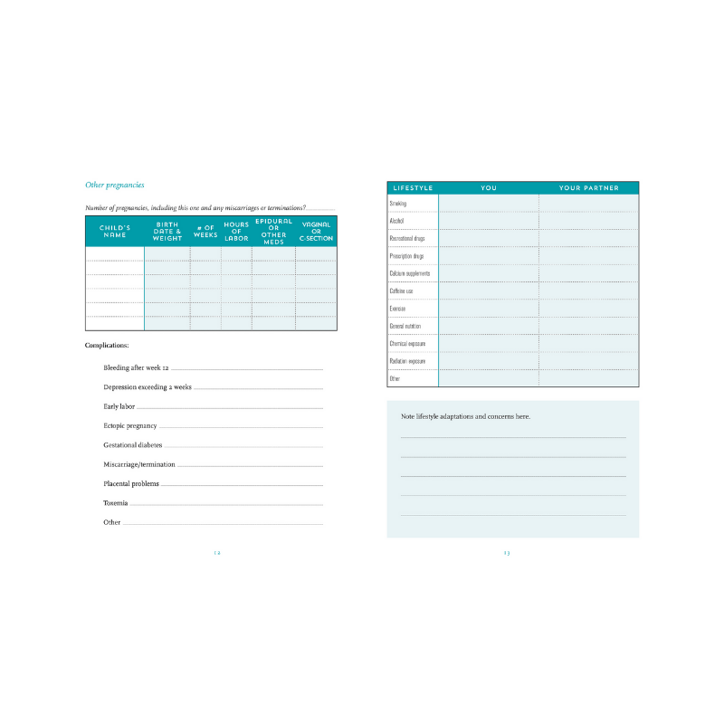Peter Pauper "I'm Pregnant, Now What?" Logbook