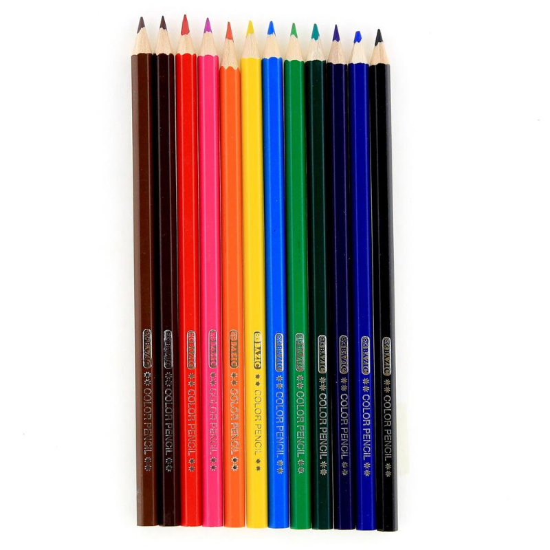 BAZIC Coloured Pencil (12/Pack)