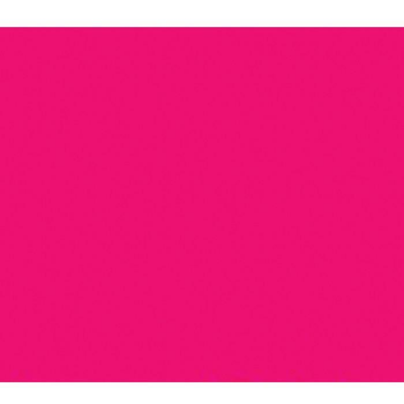 BAZIC 22" X 28" Fluorescent Poster Board