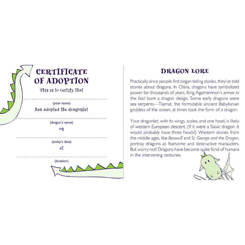 Peter Pauper Dragon Rescue Kit