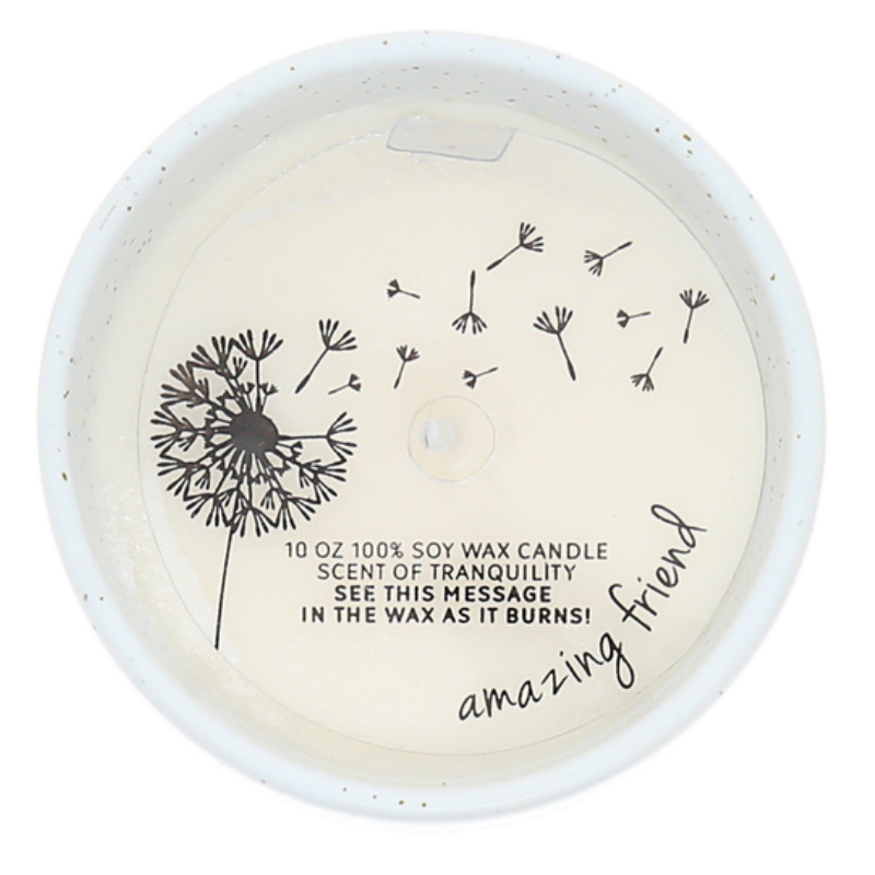 Pavilion 10oz Reveal Candle - Friend Like You