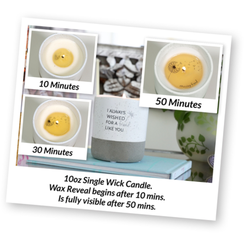 Pavilion 10oz Reveal Candle - Friend Like You
