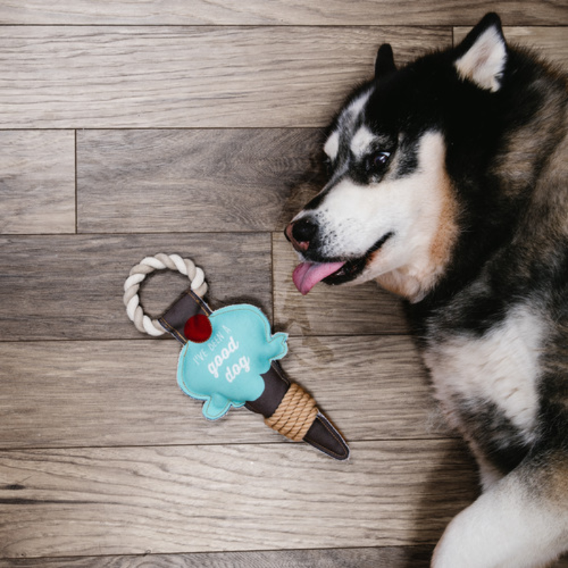 Pavilion 13" Canvas Dog Toy on Rope - Good Dog