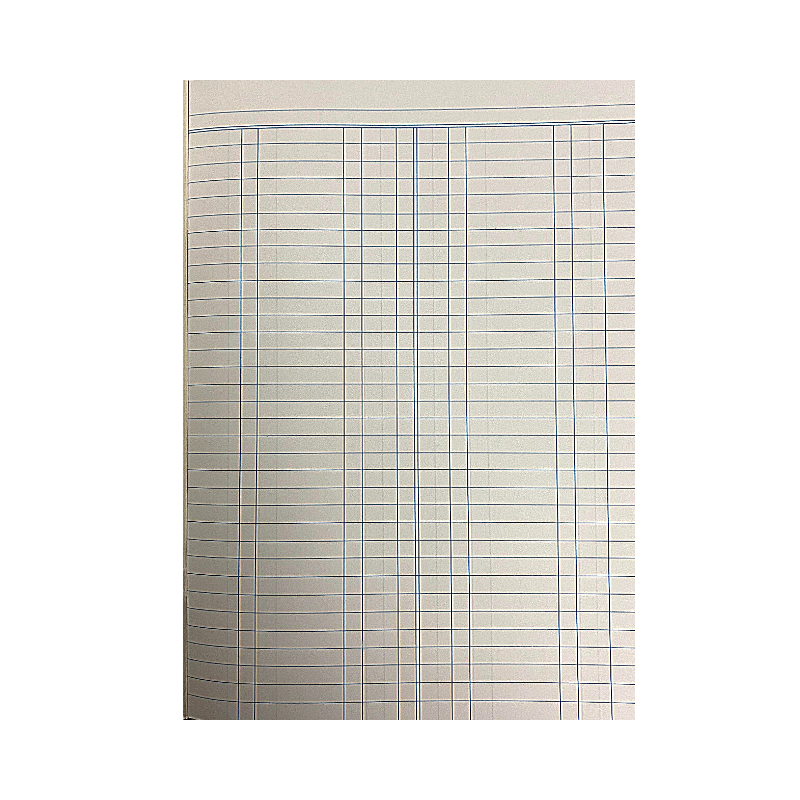 Scholar Student's Ledger Book (20 Sheets)