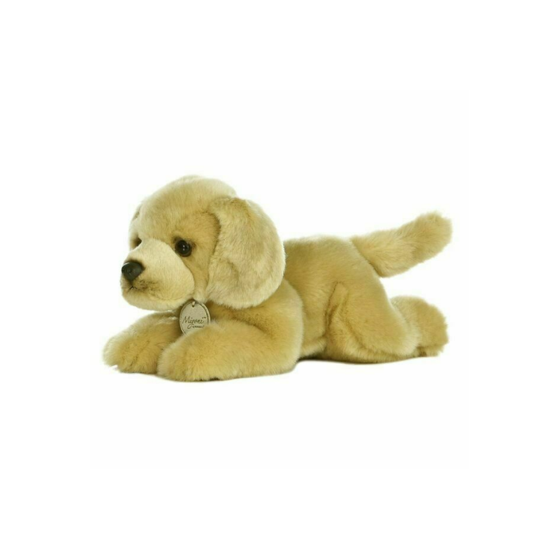 Aurora 11ƒ?? Golden Lab