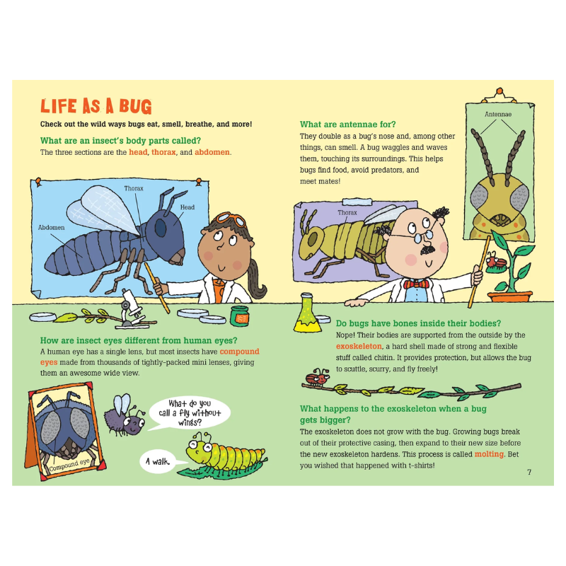 Peter Pauper 100 Questions about Bugs