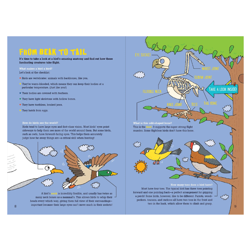 Peter Pauper 100 Questions About Birds