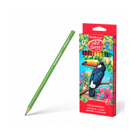 Erich Krause Artberry Triangular Coloured Pencils (24/Pack)