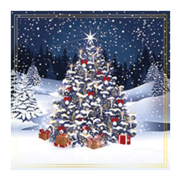 Christmas Greeting Cards - 16cm x 16cm