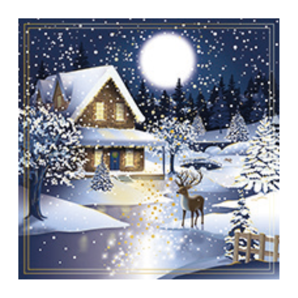 Christmas Greeting Cards - 16cm x 16cm