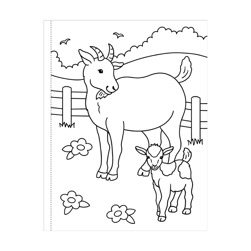 Peter Pauper My First Colouring Book - On the Farm