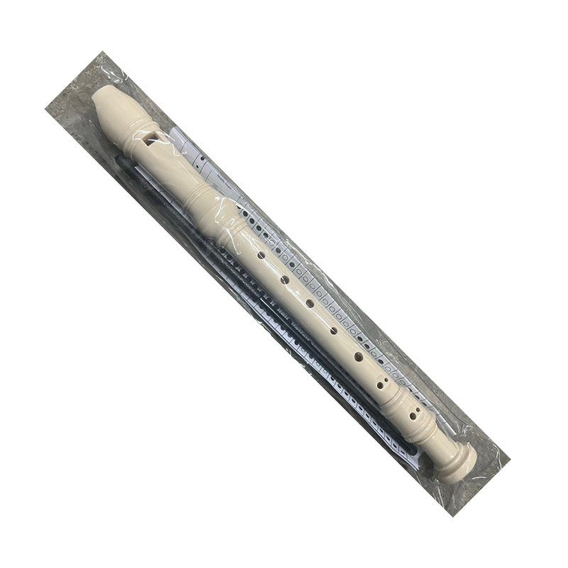 Music Recorder in Plastic Case