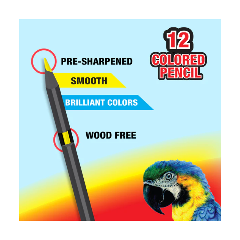 BAZIC Wood Free Coloured Pencils (12/Pack)