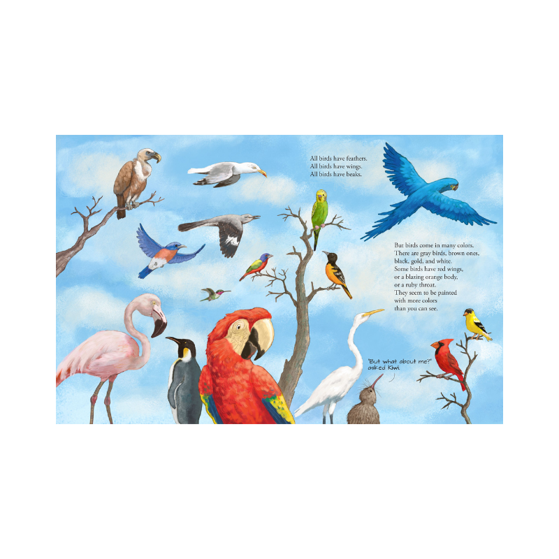 Peter Pauper All the Birds in the World Book