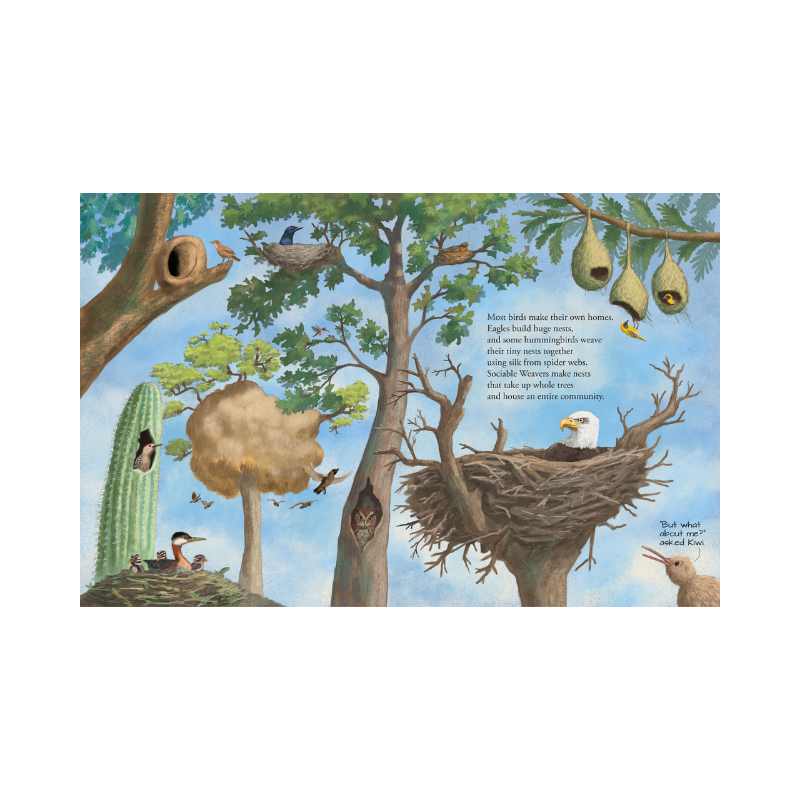 Peter Pauper All the Birds in the World Book