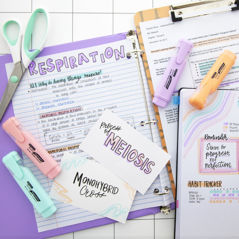BAZIC Pastel Highlighters w/ Pocket Clip (4/Pack)