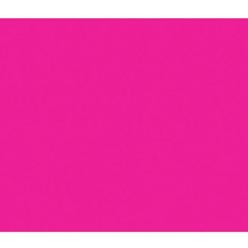 BAZIC 22" X 28" Fluorescent Poster Board