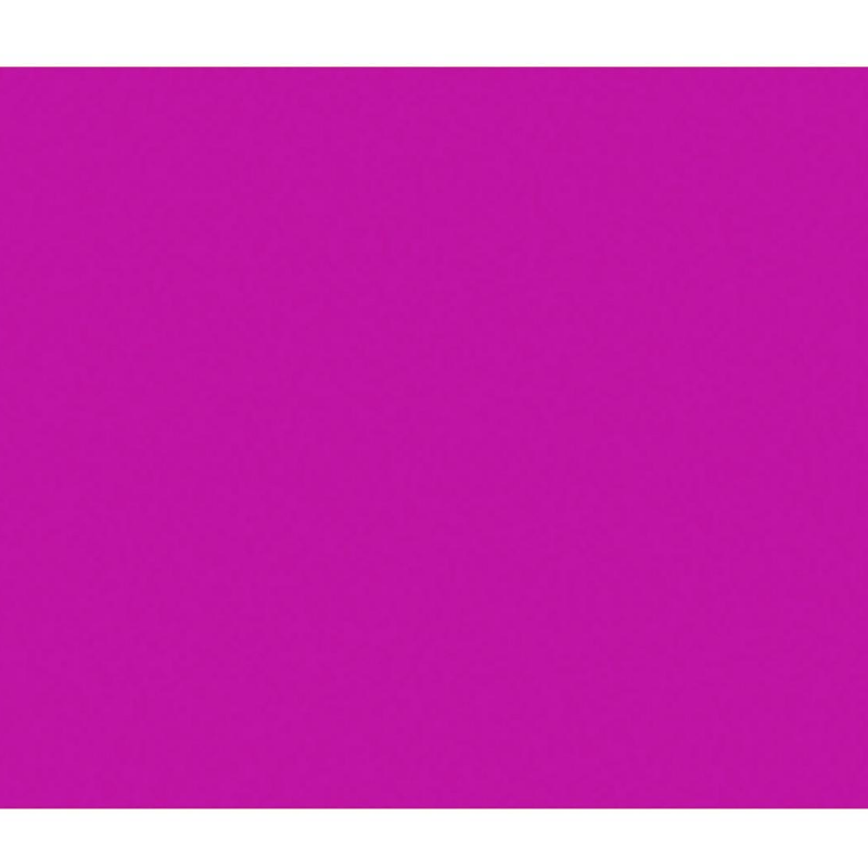 BAZIC 22" X 28" Fluorescent Poster Board
