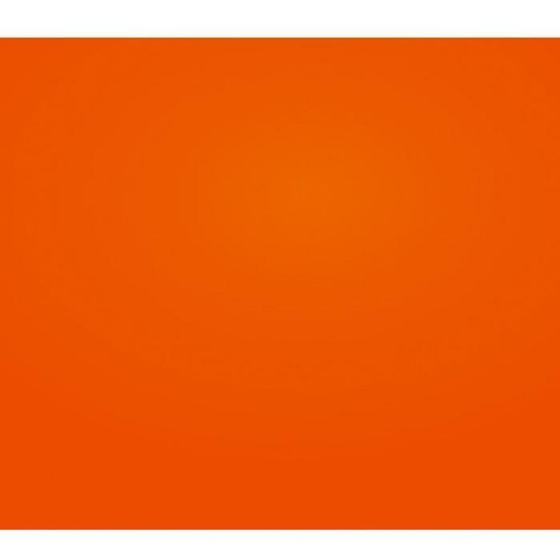 BAZIC 22" X 28" Fluorescent Poster Board