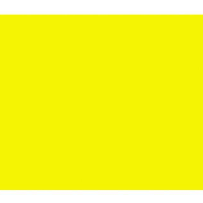BAZIC 22" X 28" Fluorescent Poster Board