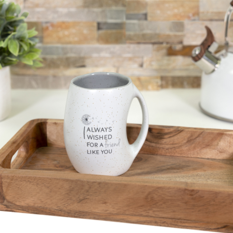 Pavilion 16oz Dotted Mug - Friend Like You