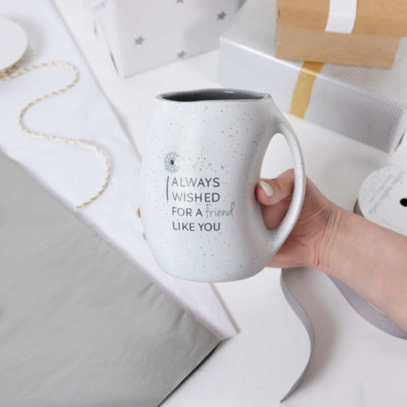 Pavilion 16oz Dotted Mug - Friend Like You